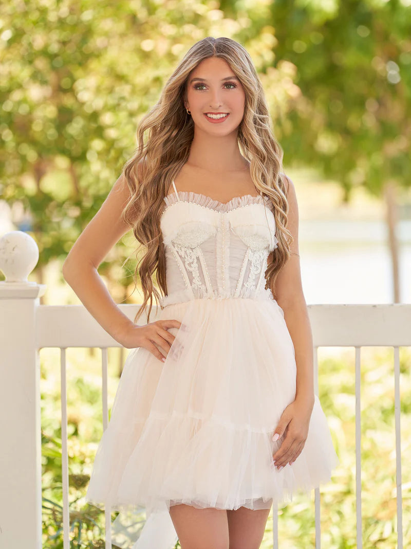 Spaghetti Straps Homecoming Dress Tulle Lace Appliques Short Prom Dresses With Bow, AST1089